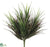 Vanilla Grass Bush - Green Burgundy Green Mustard Green Two Tone - Pack of 24