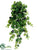 Grape Leaf Hanging Plant - Green Two Tone - Pack of 6