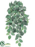 Silk Plants Direct Fittonia Hanging Bush - Green White - Pack of 6