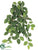 Lemon Leaf Hanging Bush - Green Burgundy - Pack of 6