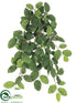 Silk Plants Direct Lemon Leaf Hanging Bush - Green Burgundy - Pack of 6