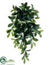 Silk Plants Direct Laurel Leaf Hanging Bush - Green - Pack of 6