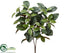 Silk Plants Direct Magnolia Leaf Hanging Bush - Green - Pack of 12