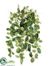 Silk Plants Direct Mini Fittonia Hanging Bush - Green - Pack of 12