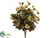 Ivy Bush - Green Brown - Pack of 12