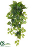 Silk Plants Direct Philodendron Hanging Bush - Green - Pack of 12