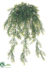 Silk Plants Direct Sprengeri Hanging Bush - Green - Pack of 6