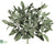 Sage Bush - Green Gray - Pack of 24