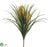 Tillandsia Bush - Yellow - Pack of 24