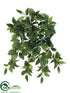 Silk Plants Direct Birch Hanging Bush - Variegated - Pack of 12