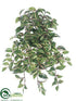 Silk Plants Direct Wandering Jew Hanging Bush - Green Cream - Pack of 12