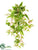 Silk Plants Direct Wandering Jew Bush - Green Cream - Pack of 6