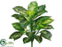 Silk Plants Direct Dieffenbachia Plant - Green Variegated - Pack of 6