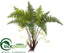 Silk Plants Direct Fern - Green - Pack of 6