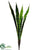 Mother-In-Law Tongue Plant - Green Two Tone - Pack of 12