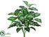 Silk Plants Direct Dieffenbachia Plant - Green Cream - Pack of 6