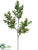 Silk Plants Direct Boxwood Spray - Green - Pack of 24