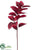 Coleus Spray - Burgundy - Pack of 12