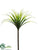 Dracaena Spray - Green Two Tone - Pack of 6