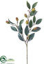 Silk Plants Direct Eucalyptus Pod Spray - Green - Pack of 12