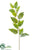 Eucalyptus Spray - Green - Pack of 12