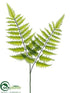 Silk Plants Direct Leather Fern Spray - Green - Pack of 12