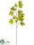 Maple Leaf Spray - Green Two Tone - Pack of 12