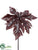 Paw Paw Leaf Branch - Burgundy - Pack of 6