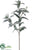 Sage Spray - Green Gray - Pack of 12