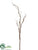 Twig Branch - Brown - Pack of 12