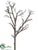 Twig Tree Branch - Brown - Pack of 2