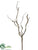 Twig Branch - Brown - Pack of 8