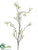 Willow Branch - Green - Pack of 12