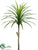 Yucca Stem - Green Cream - Pack of 8