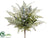 Eucalyptus, Avende - Green Gray - Pack of 6