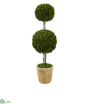 Artificial Trees | Collection of Silk Trees | Silk Plants Direct