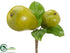 Silk Plants Direct Pear Pick - Green - Pack of 12