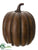 Pumpkin - Brown - Pack of 6