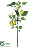 Silk Plants Direct Pear Branch - Green White - Pack of 12