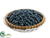 Blueberry Tart - Blue - Pack of 6