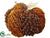 Pine Cone, Fall Leaf Pumpkin - Brown Fall - Pack of 6