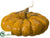 Pumpkin - Orange Brown - Pack of 4