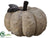 Pumpkin - Brown Whitewashed - Pack of 4