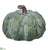 Pumpkin - Green - Pack of 2