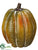 Pumpkin - Green Orange - Pack of 12