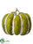 Pumpkin - Green Whitewashed - Pack of 4