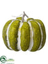 Silk Plants Direct Pumpkin - Green Whitewashed - Pack of 4