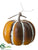 Pumpkin - Orange Whitewashed - Pack of 2