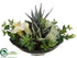 Silk Plants Direct Donkey Tail, Aloe, Bromeliad - Green Cream - Pack of 1