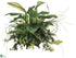 Silk Plants Direct Hosta, Fern - Green Two Tone - Pack of 1